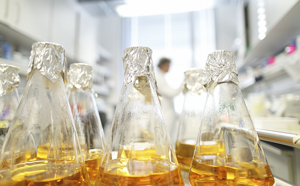 溶劑油是什么油?溶劑油科普!