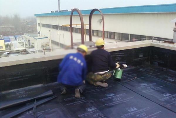 屋頂防水補(bǔ)漏.png